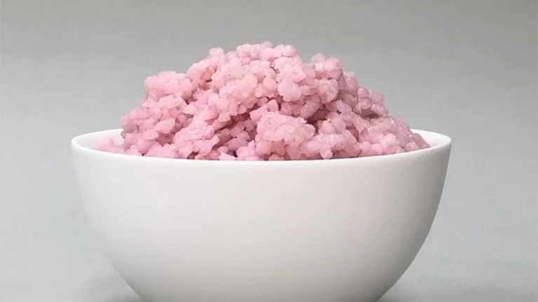 粉色飯來了，它是肉還是米？