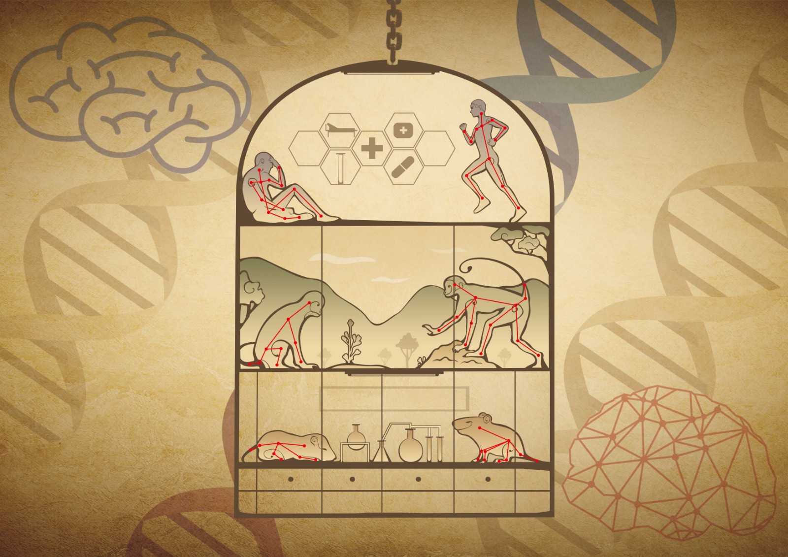 深度解碼社交行為模式AI賦能神經(jīng)科學(xué)研究